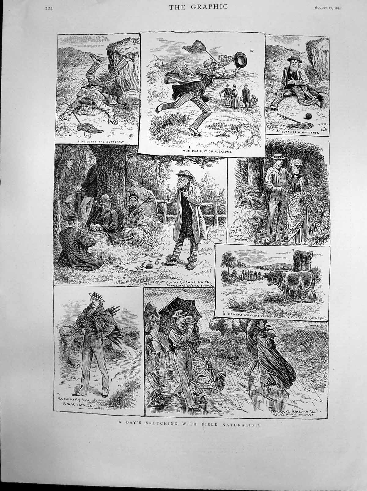 Antique Old Print Days Sketching Field Naturalists Butterfly Hedgehog 1887 19th