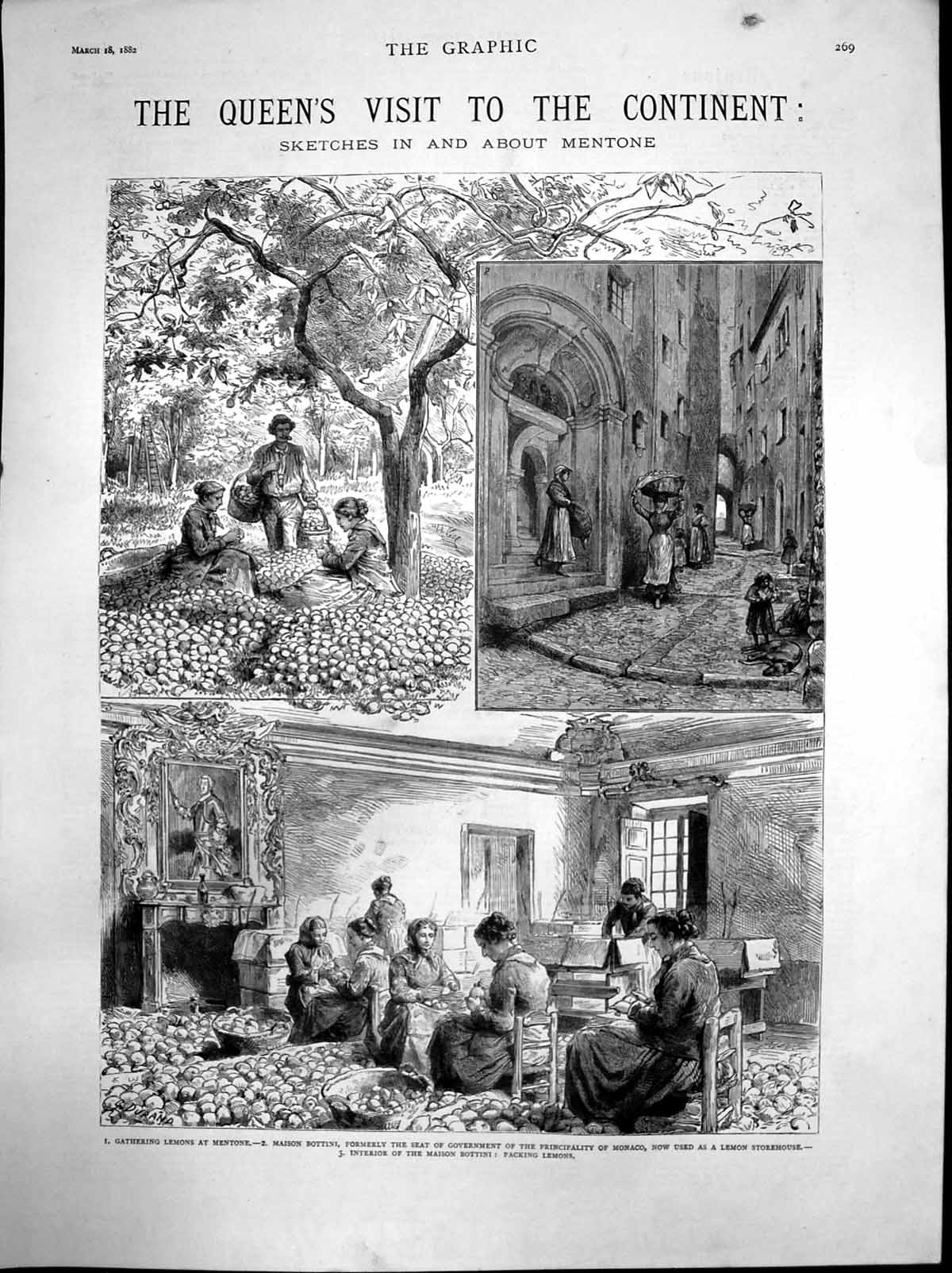 Antique Print Queens Visit Continent Mentone Gathering Lemons Packing 1882 19th