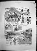 Antique Old Print Rinderpest Transvaal Border Sheep Dip Fumigate Sulphur 1897