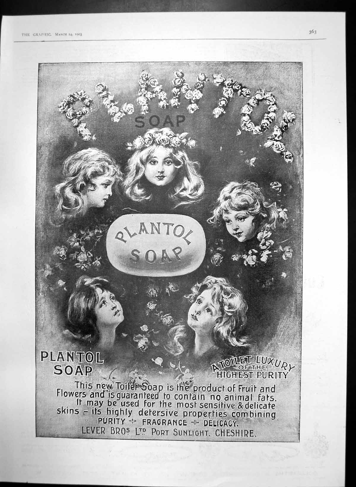 Antique Print Plantol Soap Toilet Luxury Highest Purity Fruit Flowers 1903 20th