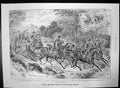 Old Antique Print Ellimans Embrocation Horses Carriage Horse Falls 1893 19th