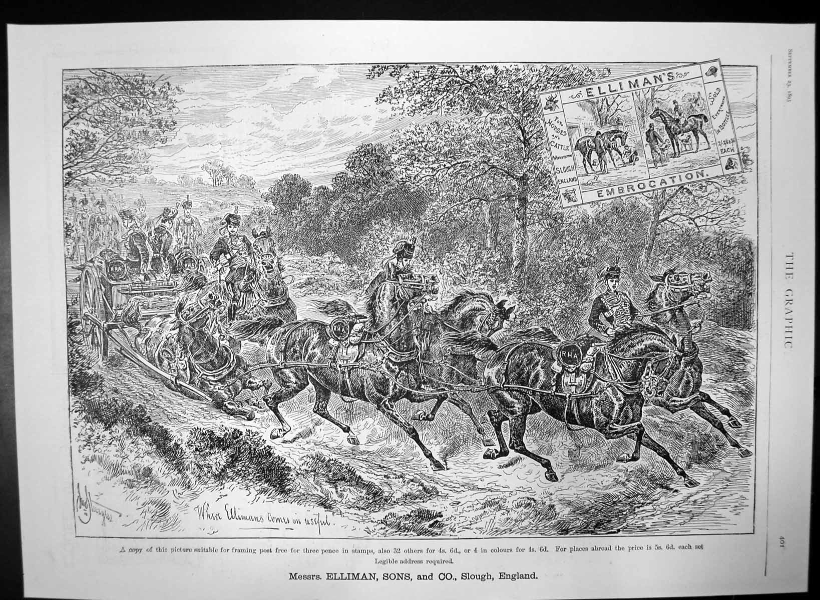 Old Antique Print Ellimans Embrocation Horses Carriage Horse Falls 1893 19th