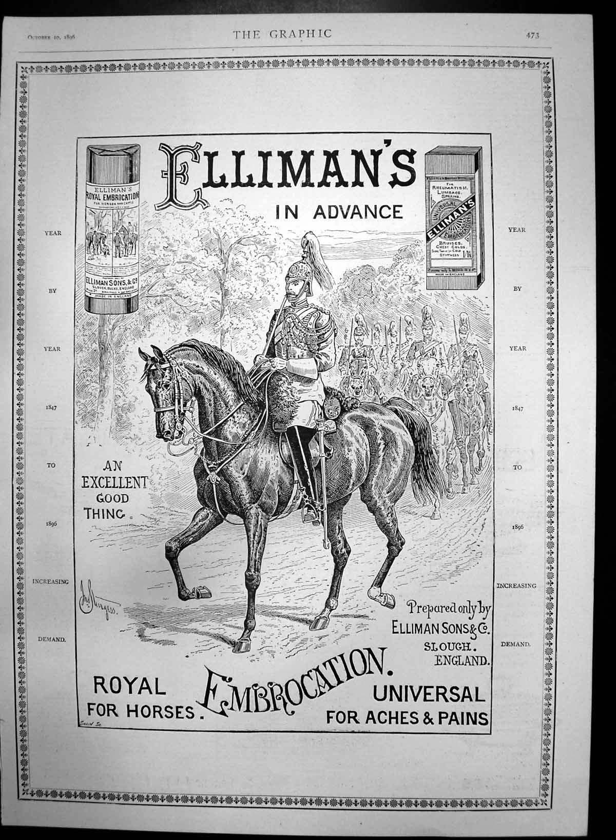 Antique Old Print Ellimans Embrocation An Excellent Good Thing Horses 1896 19th