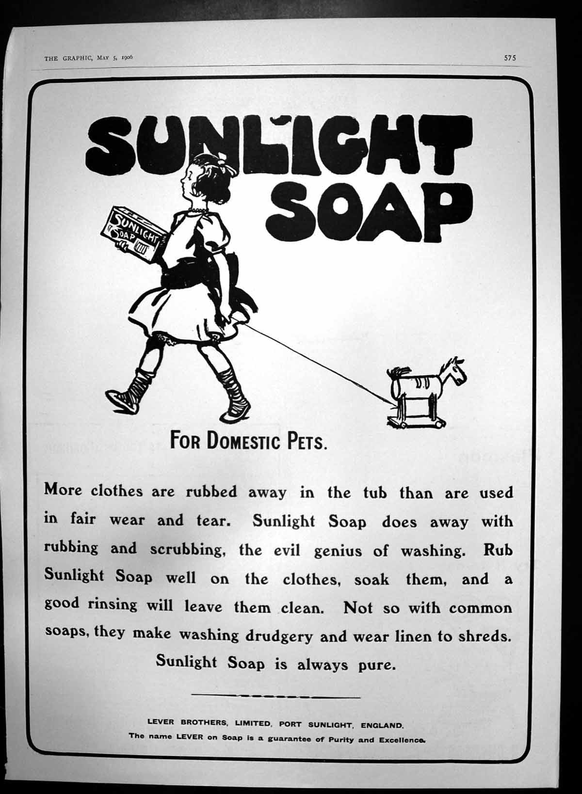 Original Old Antique Print Sunlight Soap Domestic Pets Always Pure 1906 20th