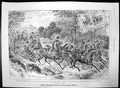 Original Old Antique Print Elliman Embrocation SEverywhere Bottles Horses 1893