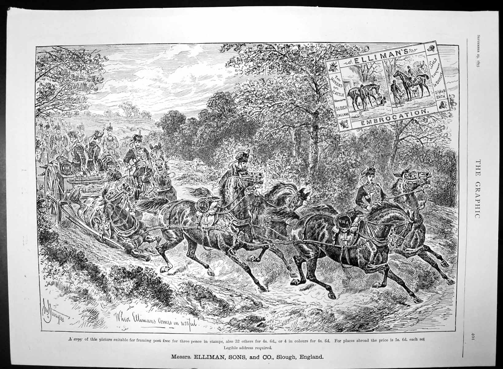 Original Old Antique Print Elliman Embrocation SEverywhere Bottles Horses 1893
