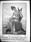 Antique Old Print Brookes Soap Monkey Brand Leisure Her Cherub Cleaning 1895