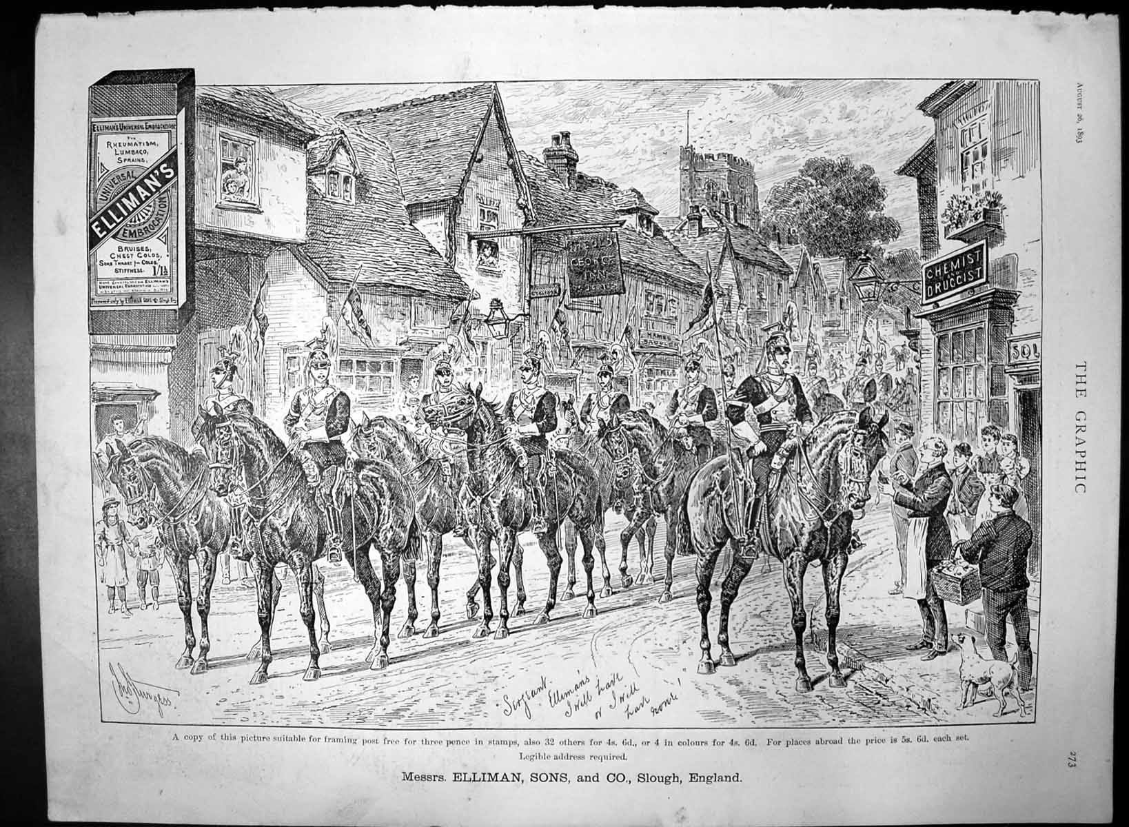 Old Antique Print Ellimans Embrocation Horses Street Outside Chemist 1893 19th