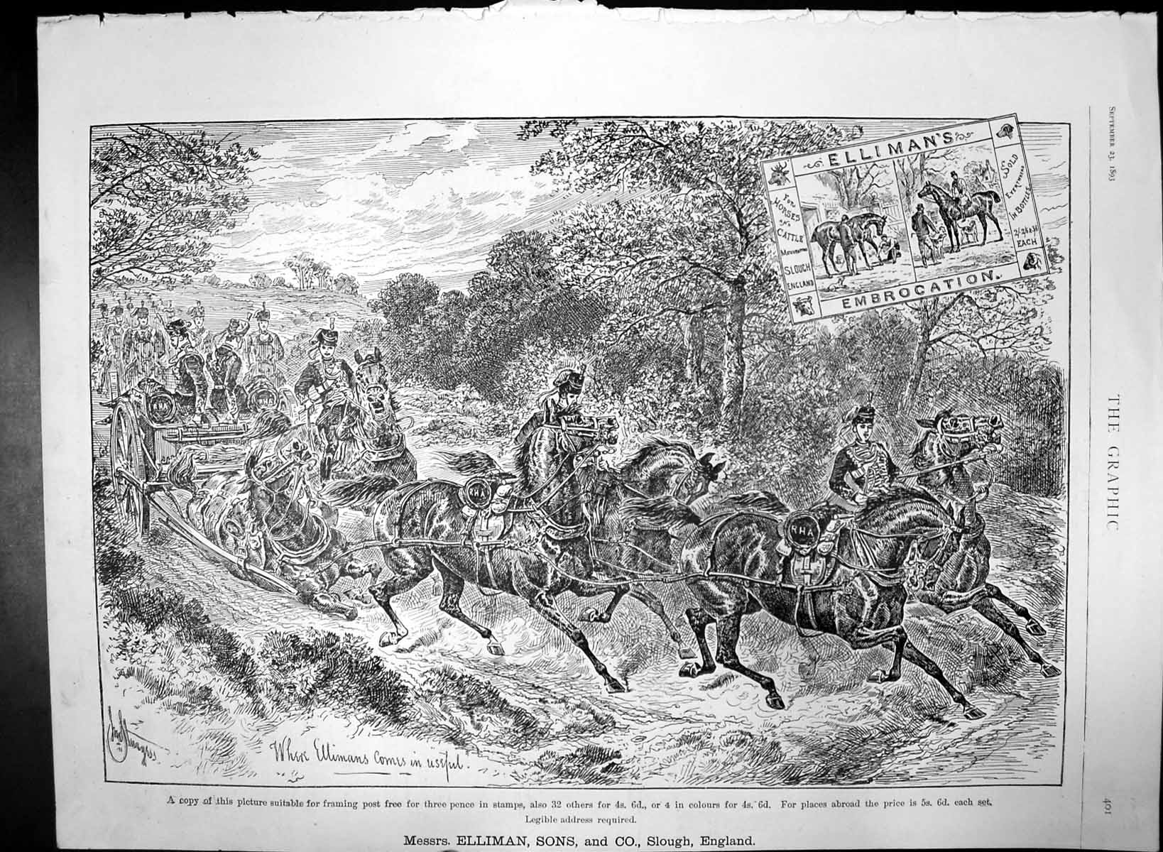 Original Old Antique Print Ellimans Embrocation Useful After Horse Falls 1893