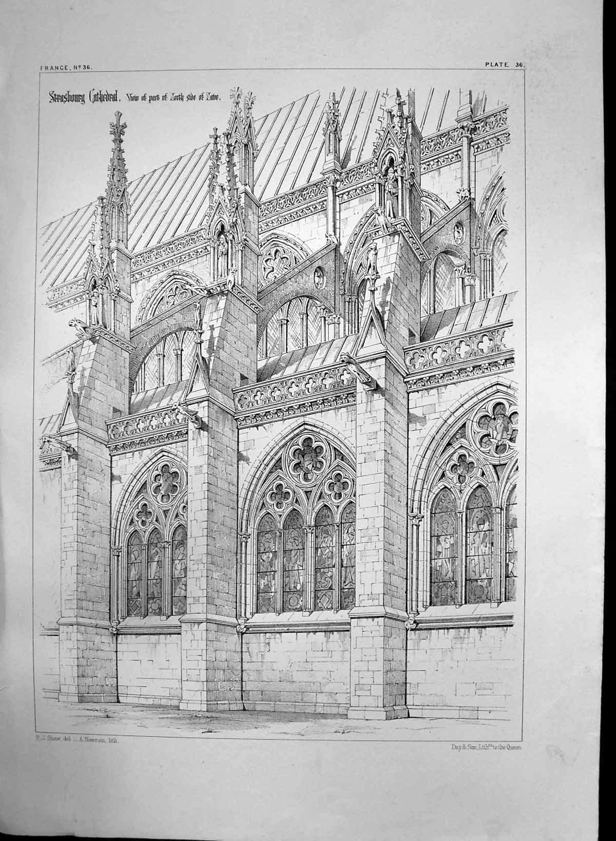 Old Antique Print Strasbourg Cathedral View Part North Side Nave C 1890 19th