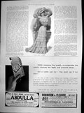 Old Antique Print Visiting Dress Voile Robinson Cleaver HousehLinens 1903 20th