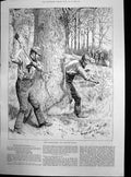Antique Old Print Agricultural Scenes May Bark Harvest Cutting Bark Axe 1886