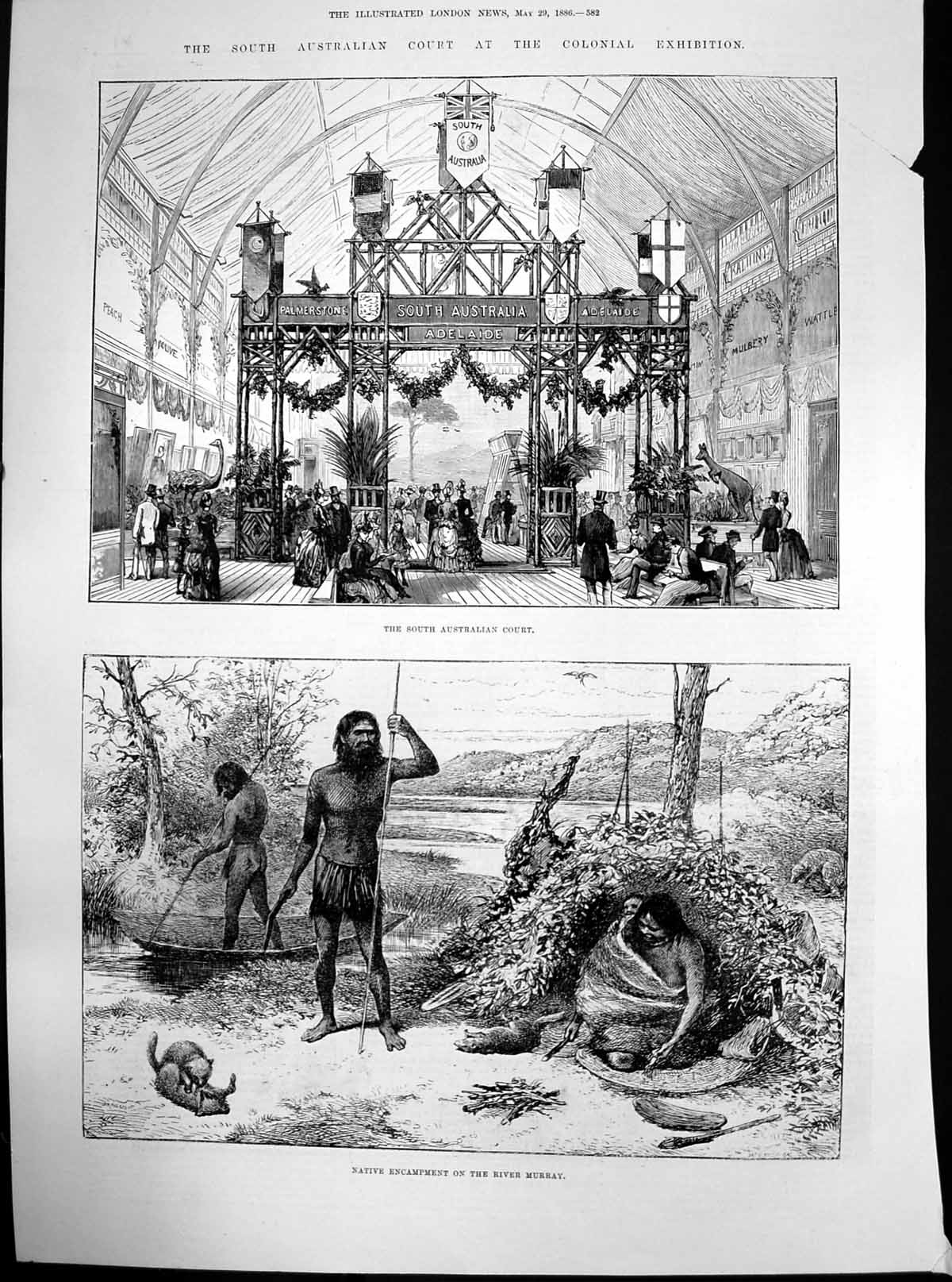 Antique Old Print South Australian Court Native Encampment Murray River 1886