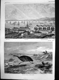 Original Old Antique Print Hunting Emu Australia Toulon Harbour Entrance 1863