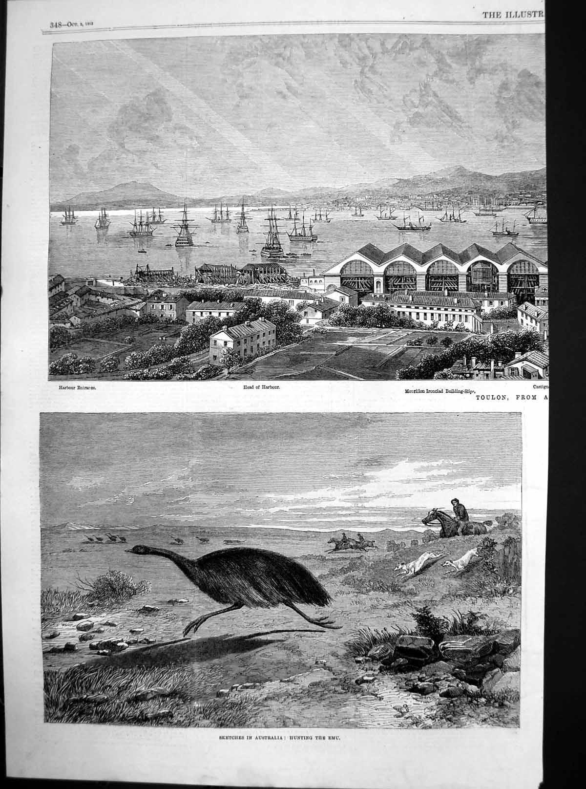 Original Old Antique Print Hunting Emu Australia Toulon Harbour Entrance 1863