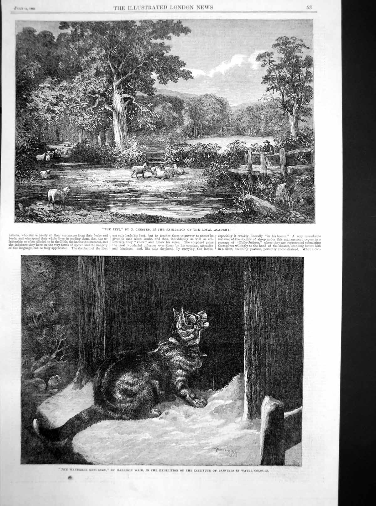 Old Antique Print Wanderer Returned Harrison Weir The Rest G Chester 1863 19th