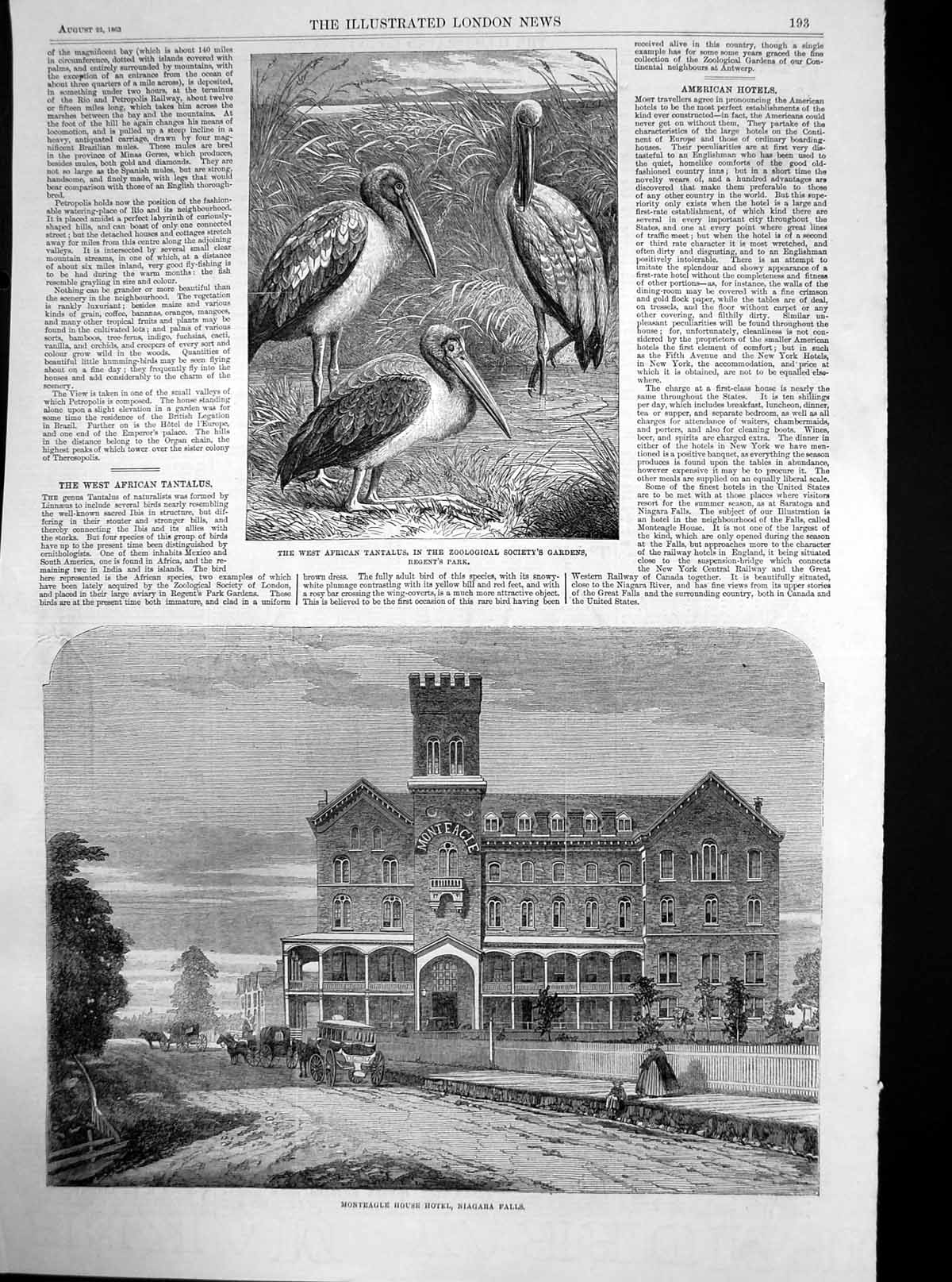 Antique Print Monteagle House Hotel Niagara Falls West African Tantalus1863