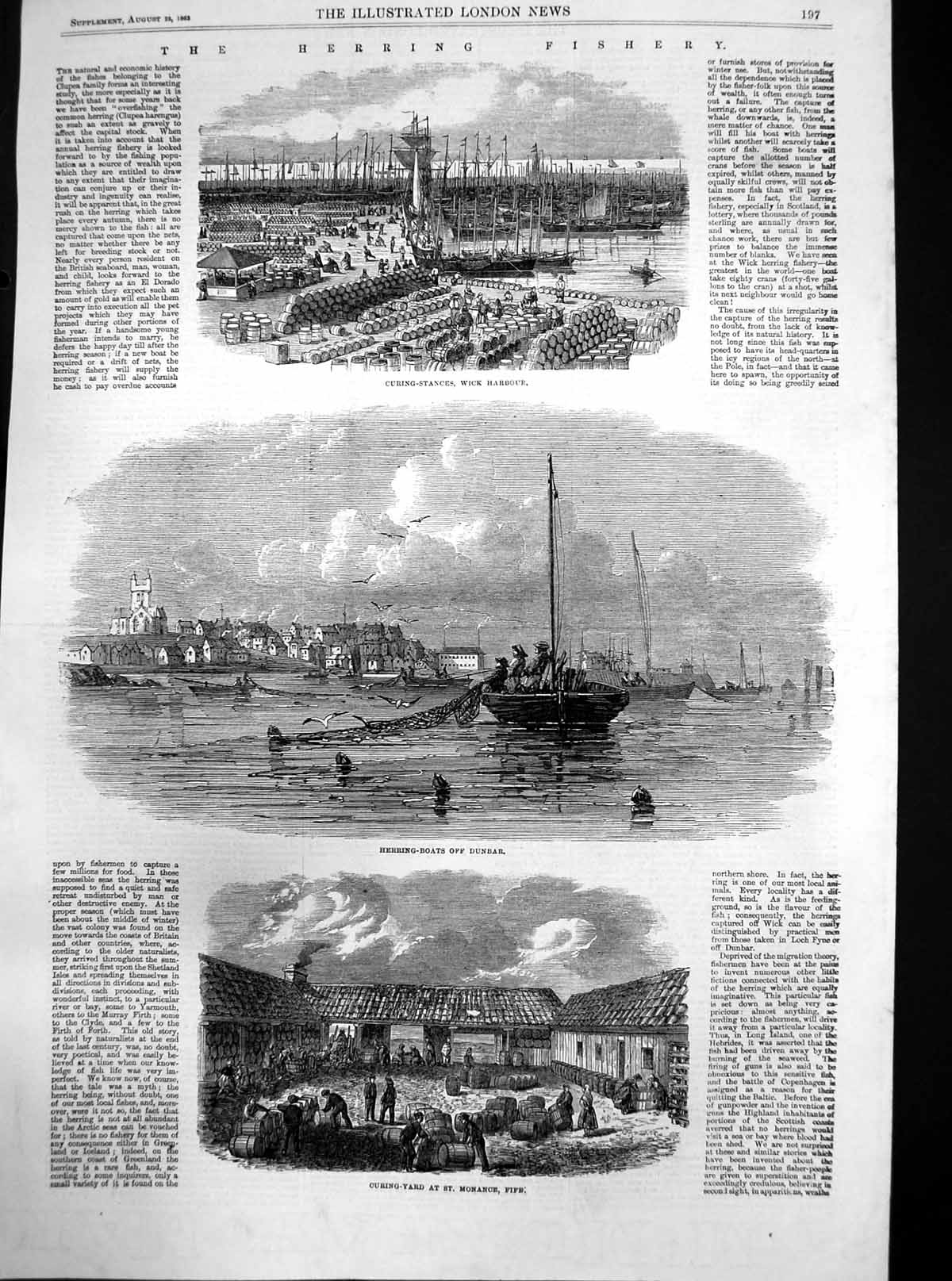 Old Antique Print Herring Fishery Curing Stances Wick Harbour Dunbar 1863 19th