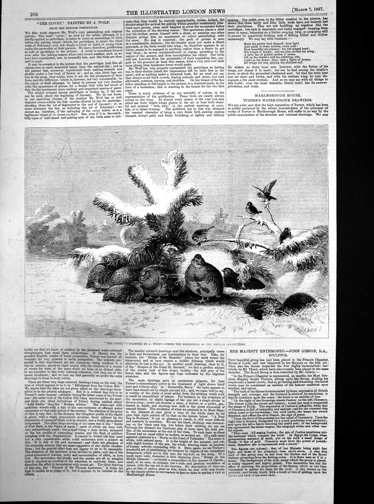 Antique Old Print The Covey J Wolf Exhibition British Institution Birds 1857