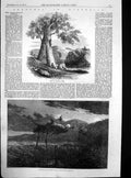 Original Old Antique Print AbMode Disposal Dead Australia 1857 19th
