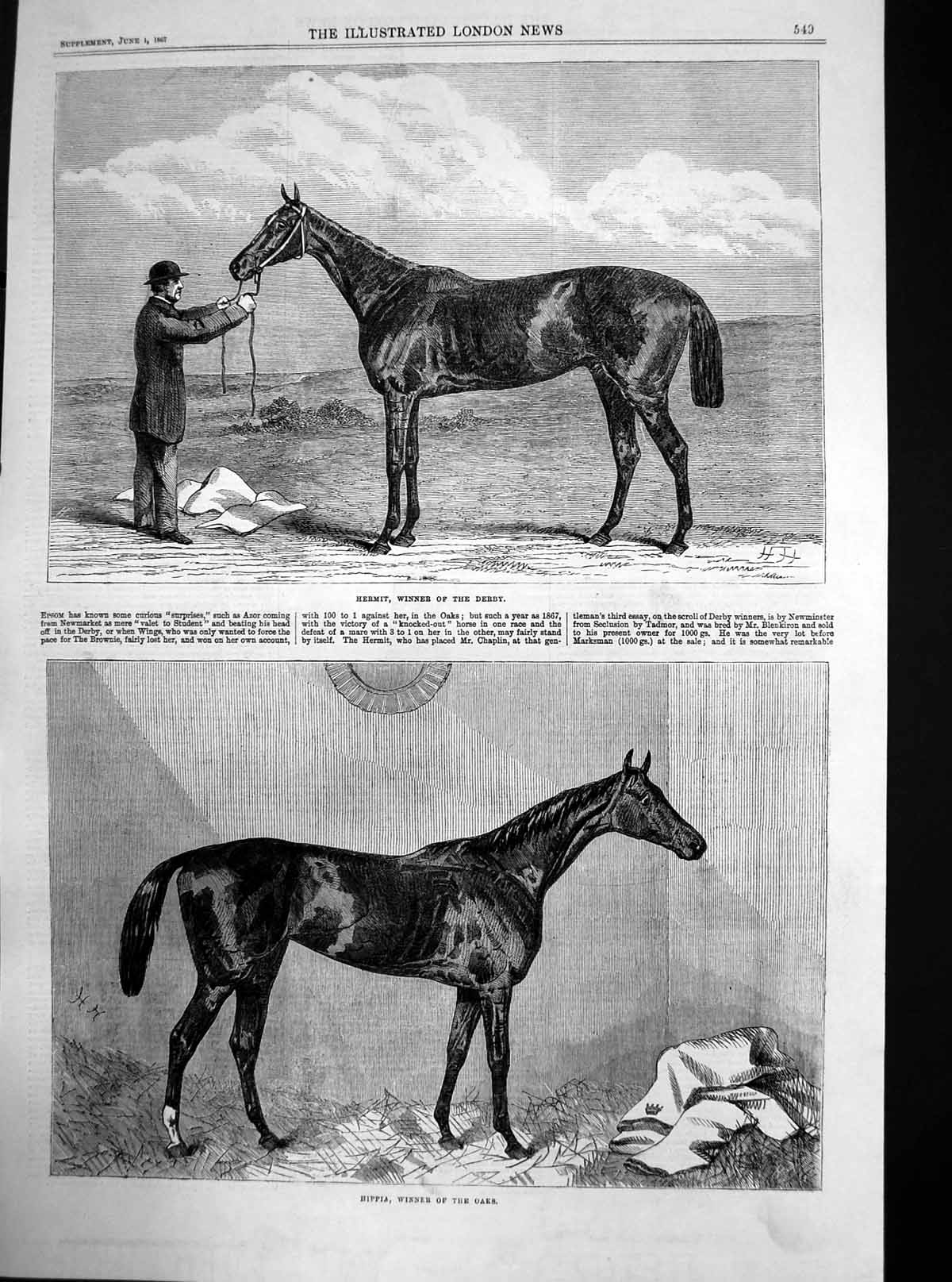 Original Old Antique Print Hippia Winner Oaks Hermit Winner Derby 1867 19th