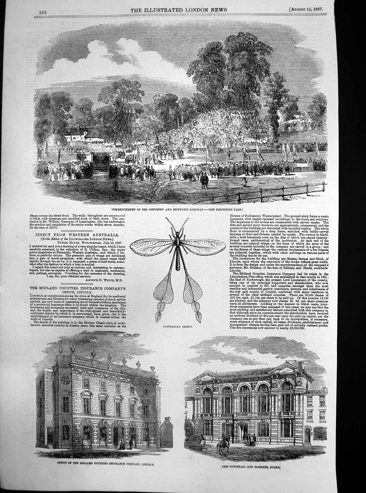 Original Old Antique Print Oswestry Newtown Railway Townhall Rugby Lincoln 1857