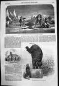 Old Antique Print Kidderminster Corn Exchange Elephants Feat Astleys 1853 19th
