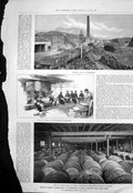 Old Antique Print Wkisky Bonded Warehouses Edinburgh Bottling Casks 1890 19th