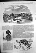 Antique Old Print Street Natal Zulu Youth Fish Gulf Weed Off St Thomass 1857