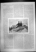 Original Old Antique Print Main Shaft Mount Margaret Reward Claim Mine 1895