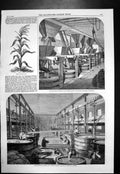 Old Antique Print Brown Polsons Patent Corn Flour Grinding Refining 1860 19th