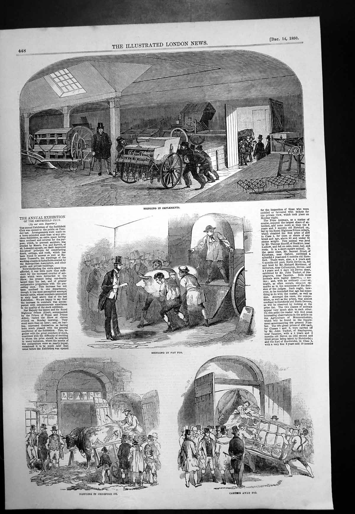 Antique Old Print Annual Exhibition Smithfield Cattle Pigs Implements 1850 19th