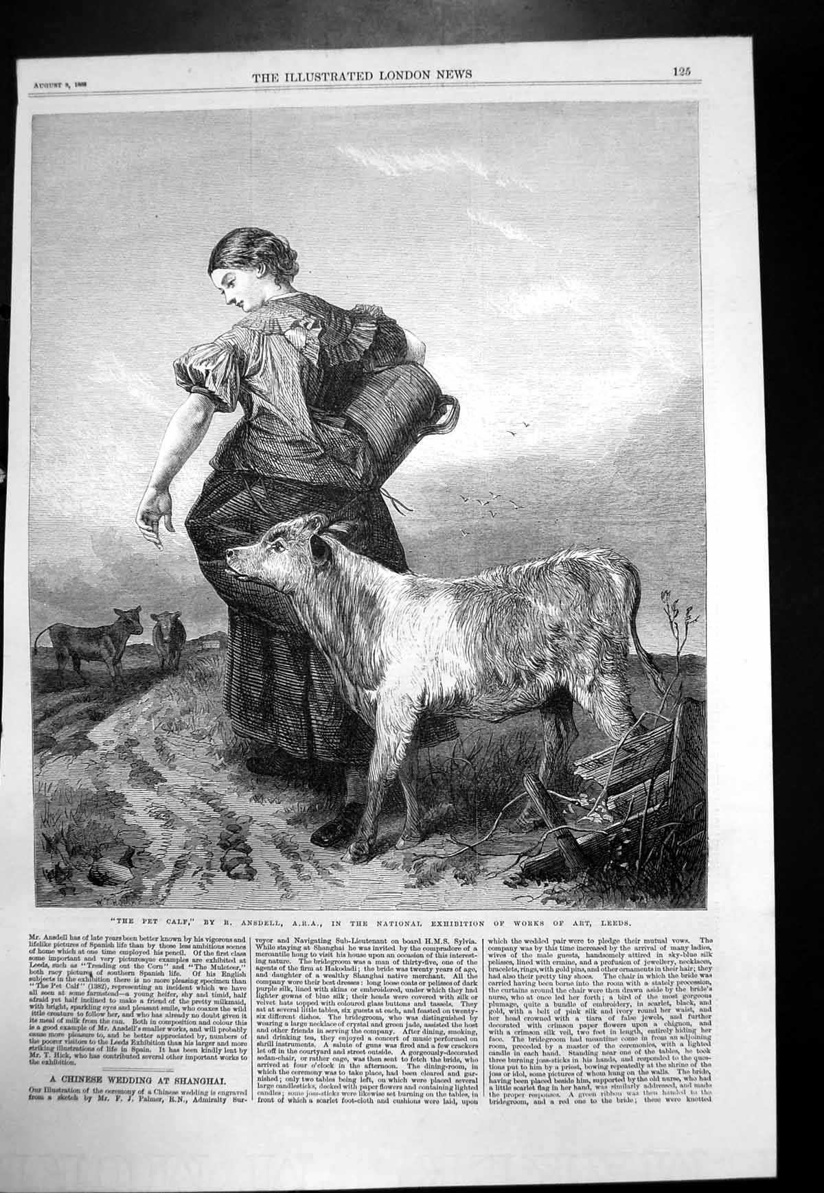 Original Old Antique Print Pet Calf R Ansdell Young Woman Feeding Calf 1868
