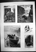 Old Antique Print Hauling Lines Splitting Wood Baskets Cadgwith Cove 1884 19th