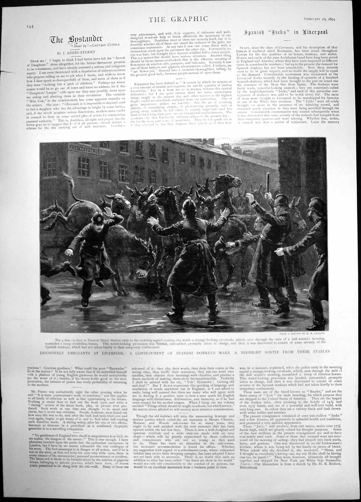 Antique Old Print Disorderly Emigrants Liverpool Spanish Donkeys Escape 1894