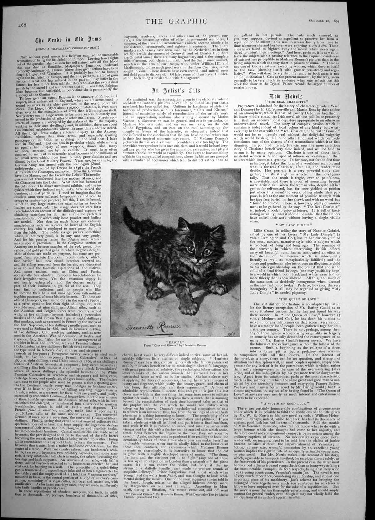 Original Old Antique Print Rascal Cats & Kittens Henrietto Ronner Kitten 1894