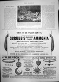 Antique Print Grave Klaus Groth Poet Scrubbs Ammonia Benson Jewellers 1899 19th