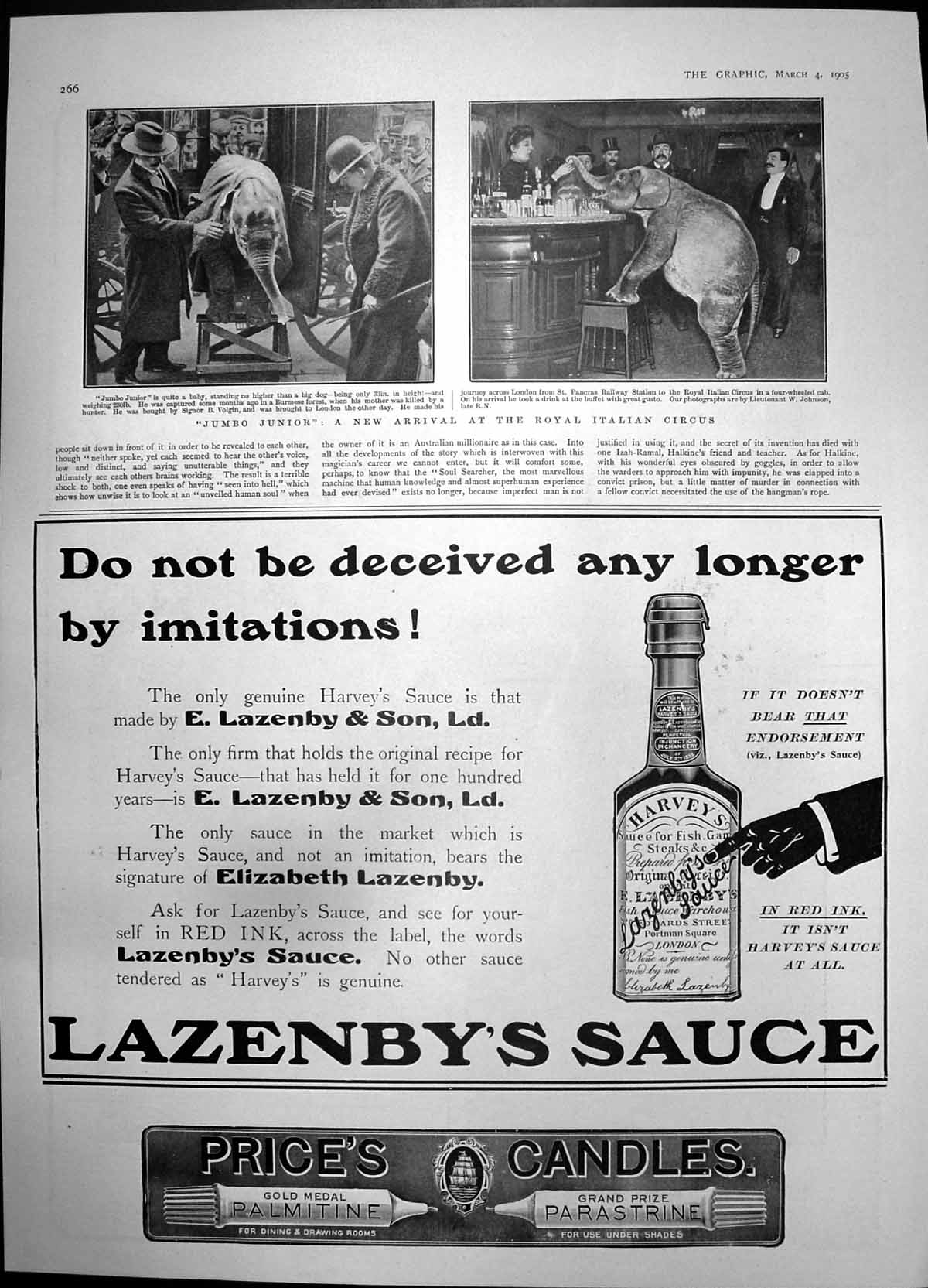 Antique Old Print Jumbo Junior New Arrival Italian Circus Lazenbys Sauce 1905