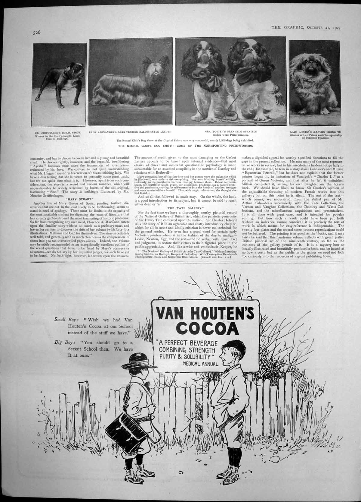 Antique Old Print Kennel Club Dog Show Prize Winners Van Houtens Cocoa 1905