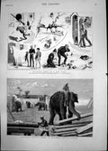 Antique Print Invisible Grey War Paint Elephants Moving Timber Burmah 1883 19th