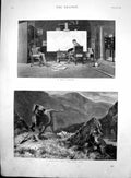 Old New Canvas B Hall Distaste Fine Arts Harrison Picture Cows Horn