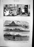 Antique Print Volcanic Eruption Java Krakatoa Anjer Reptile House Zoo 1883 19th