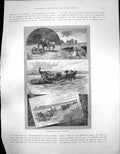 Antique Print Harvesting South Australia Horses Hay Harvest Reaping C 1900 20th