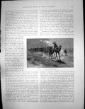 Original Old Antique Print Sketch South Australia Camels Carrying Wool C 1900