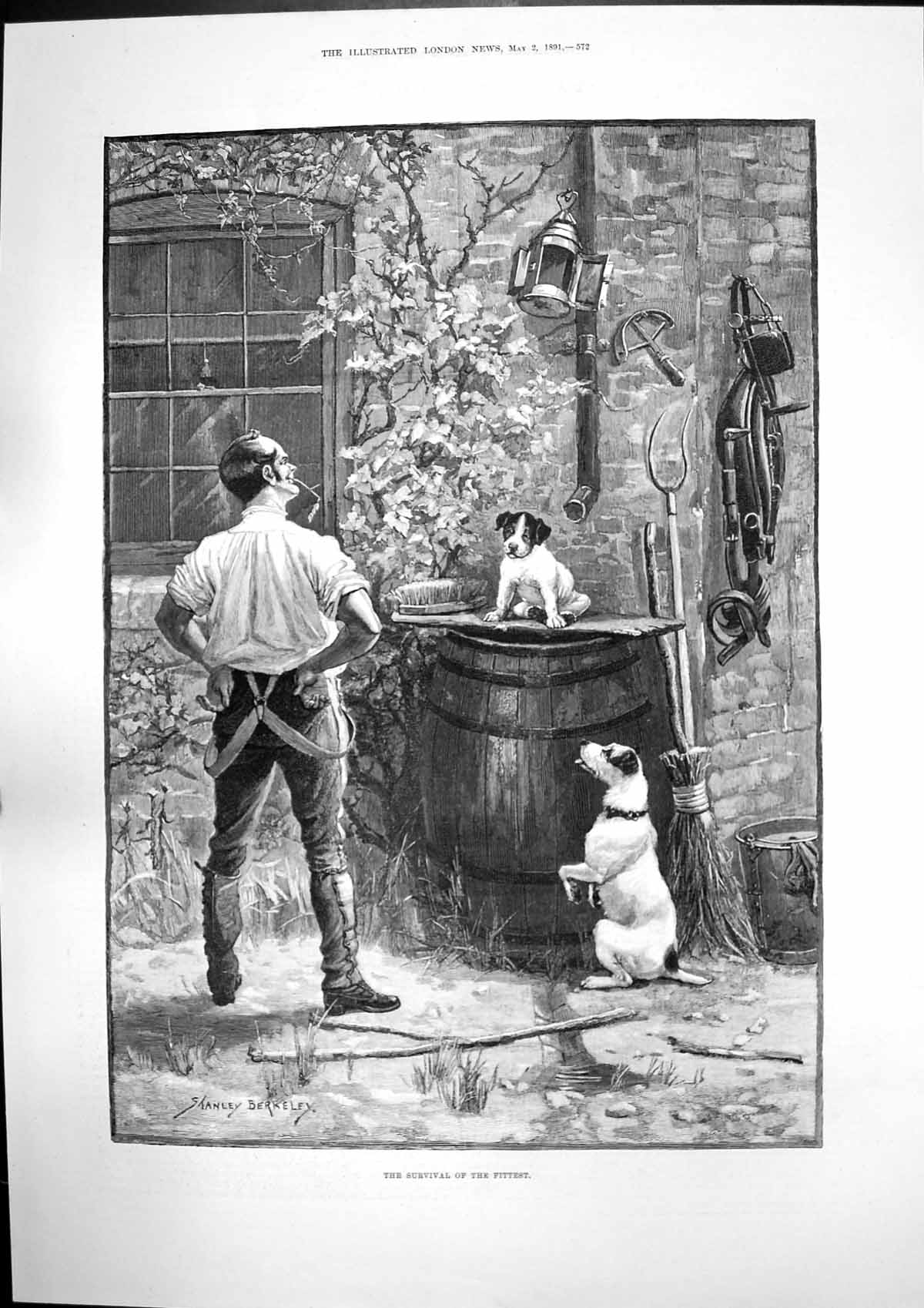 Antique Old Print Survival Fittest S Berkeley Dog Puppy George Meredith 1891