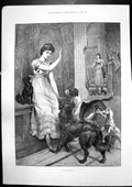 Old Print In-Patients Dogs Camels Road Great Fingall Mine Condenser 1895 19th