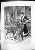 Old Antique Print Out-Patients Deer Island Philae From Libyan Shore 1895 19th