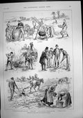 Old Print Potato Disease Ireland Cathedral Siena Italy Damaged Fire 1890 19th