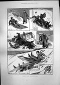 Antique Print Pleasures Winter Tobogganning F Hornimans Museum Surrey 1891 19th