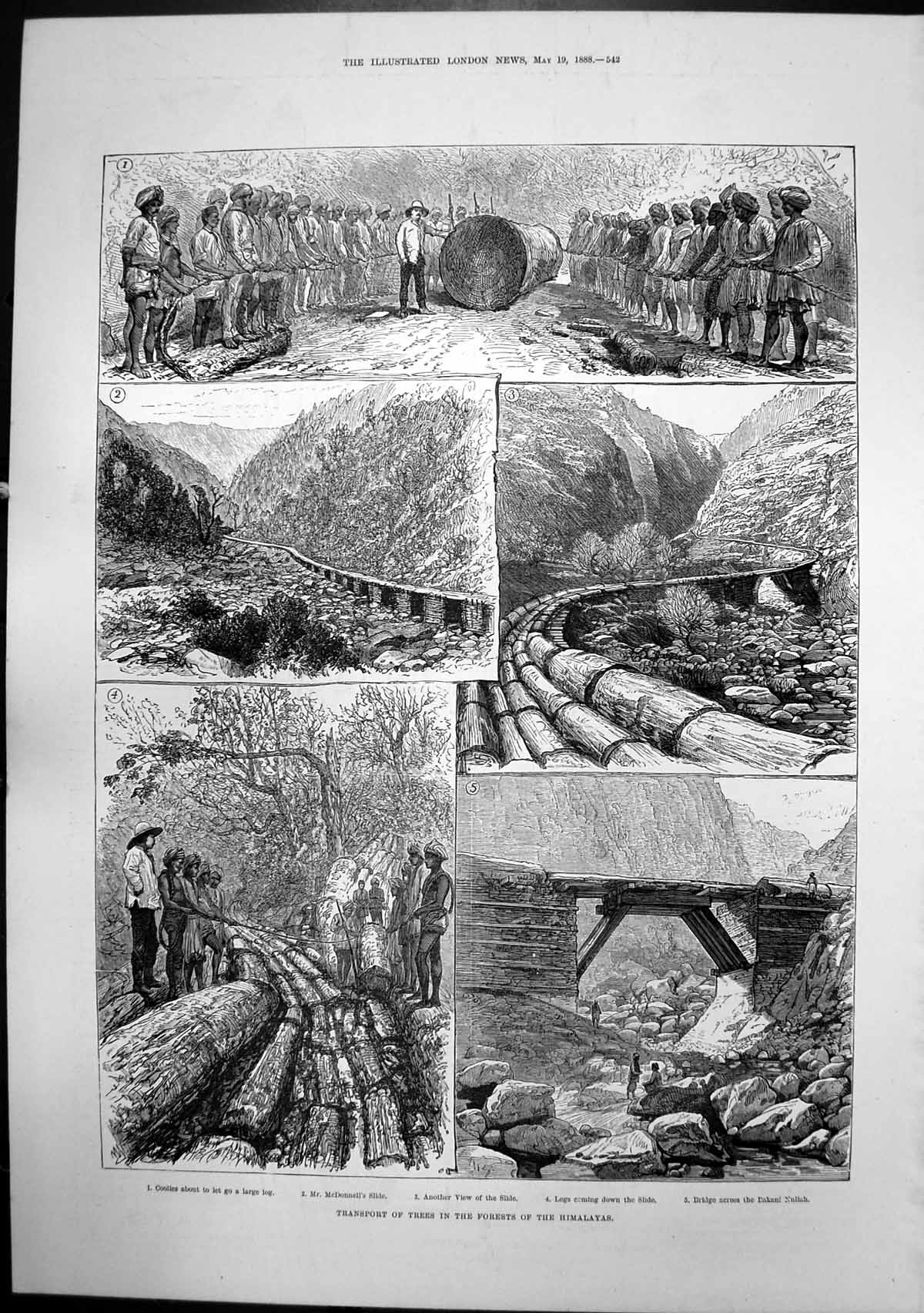 Antique Print Transport Trees Forests Himalayas Jays Costume Mourning 1888 19th